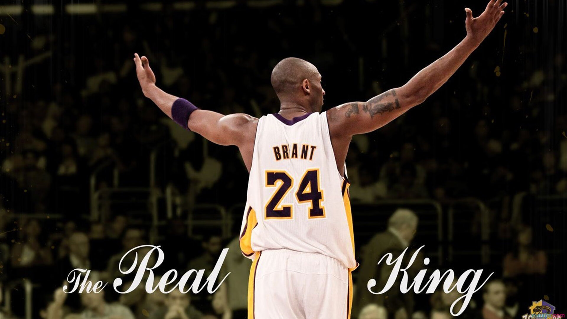 开云体育娱乐-史上最“疯狂”的抢断表现：斯托亚科维奇在关键会中扮演“防守大闸”！